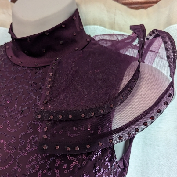 Weismman Dance Costume - Picture 4 of 8